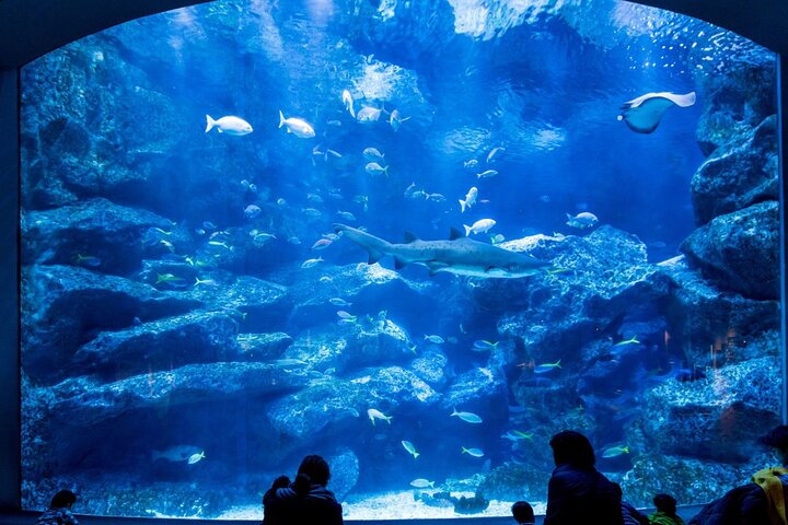 Tokyo Sumida Aquarium E-Ticket with Optional Tokyo Metro Pass